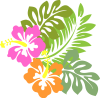 hibu hibu