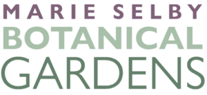 mary-selby-logo-final