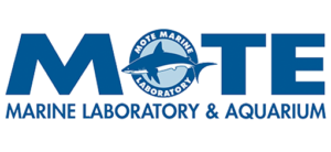mote-logo-final